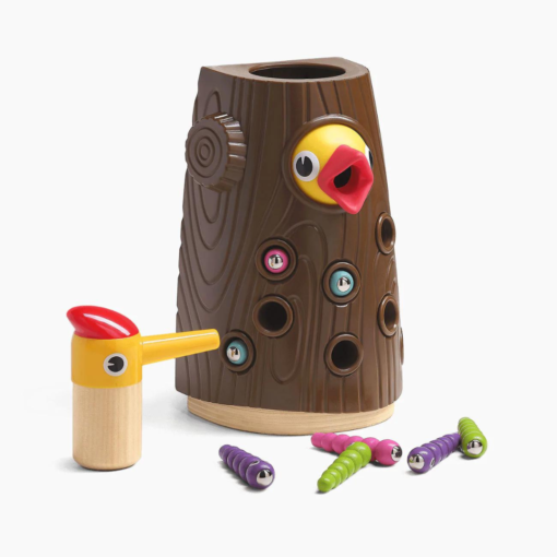 Juego de actividades pájaro carpintero